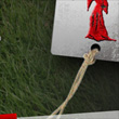 Aberavon Schools Rugby Union (Junior Group) Website Concept thumbnail image